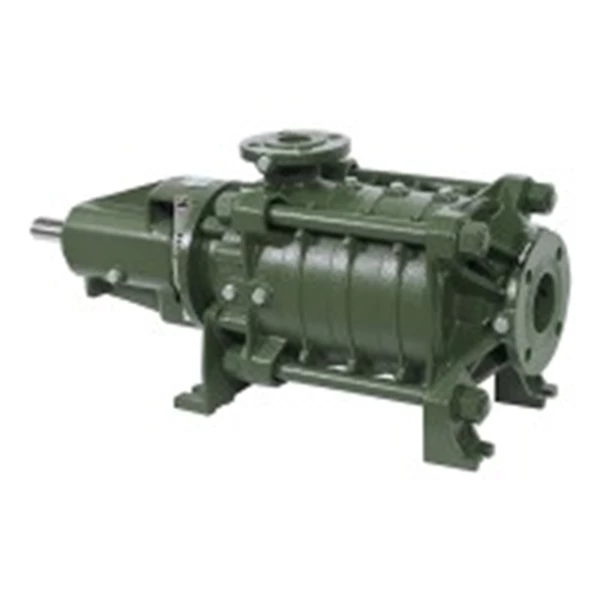 Horizontal Pump SAER Made in Italy